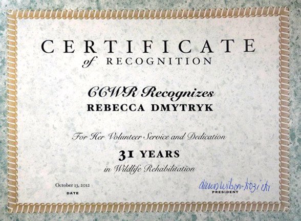 Years Of Service Certificate Template Wildrescue S Blog Reunite Wildlife